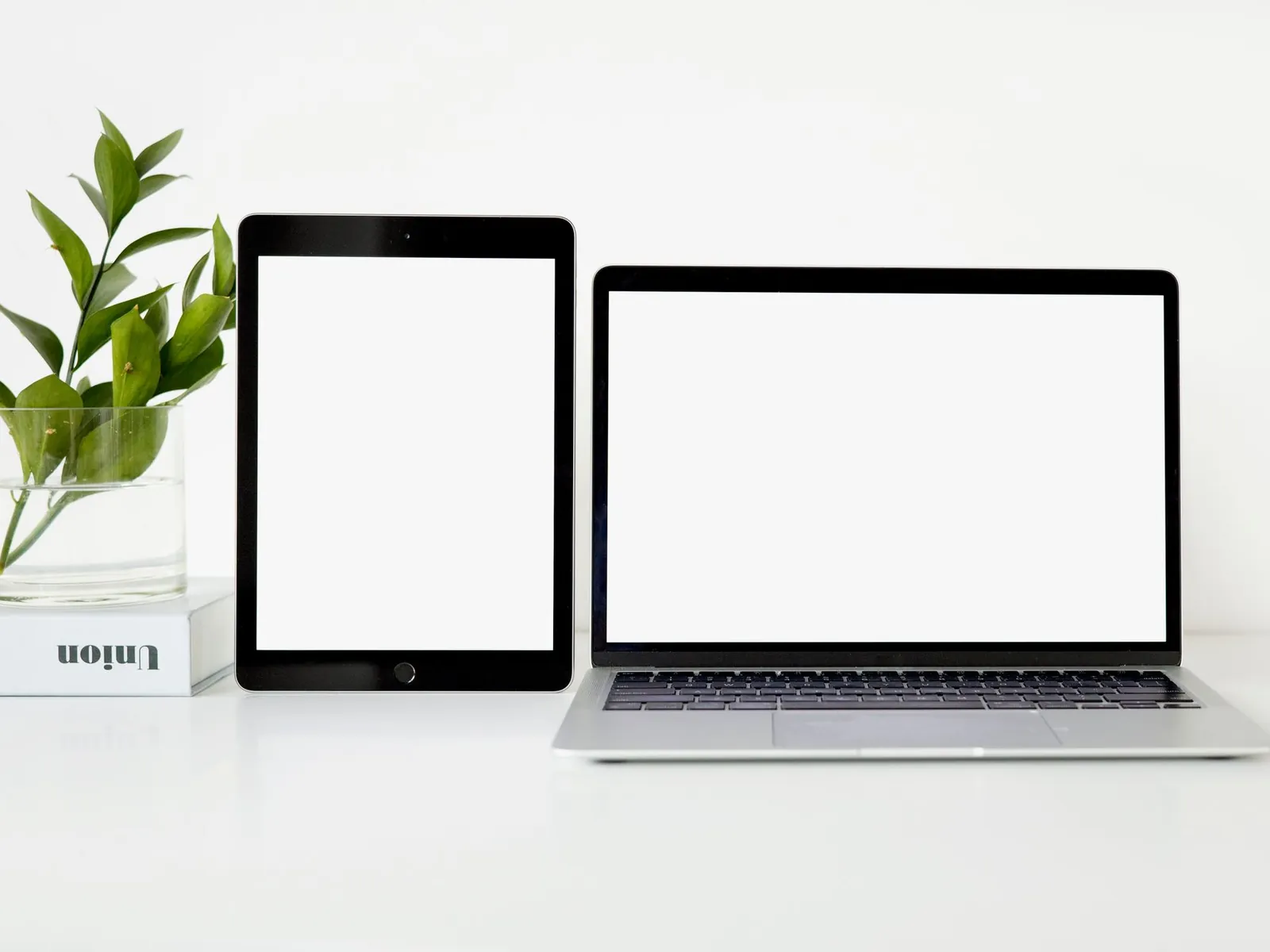 Laptop und Tablet mit leeren Bildschirmen auf einem weißen Schreibtisch, daneben eine Pflanze.